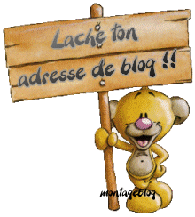 Laches ton adresse de blog